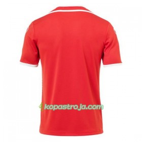 Billiga Fotbollströjor Tunesien VM 2018 Borta tröja